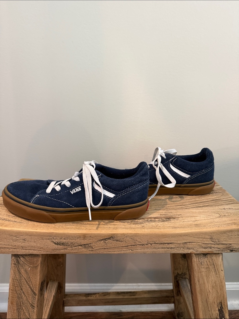 Vans Navy Suede Low-Top Sneakers with Gum Sole